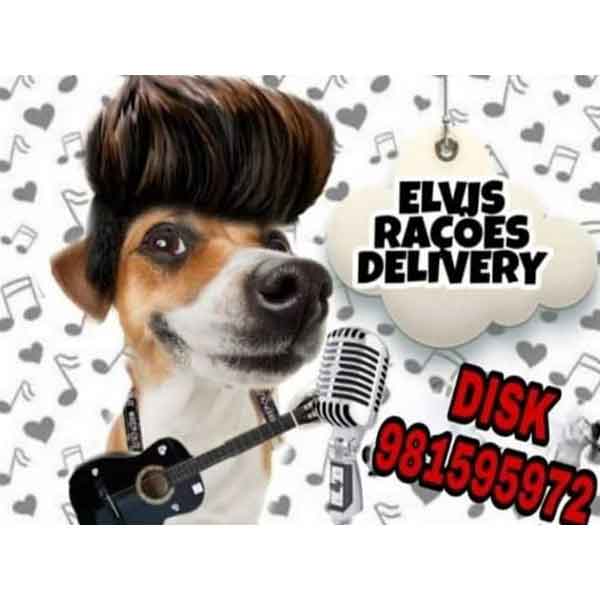 Elvis Pet Elvis Pet