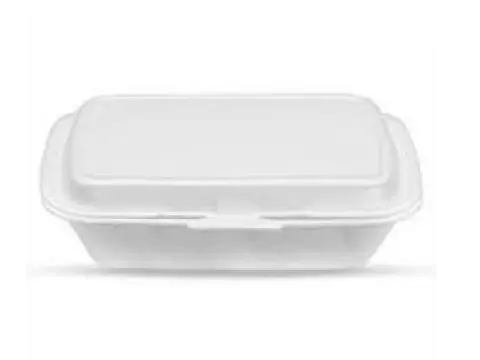 Estojo Dogueira Isopor TH-05 C/100 22,2x13x7cm Totalplast