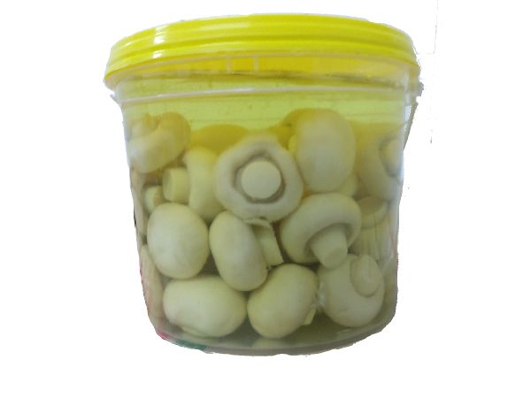 CHAMPIGNON IBITI INTEIRO BALDE 1.010 KG VENDA CHAMPIGNON IBITI INTEIRO BALDE 1.010 KG VENDA